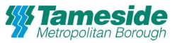 Thameside Metropolitan Boough logo